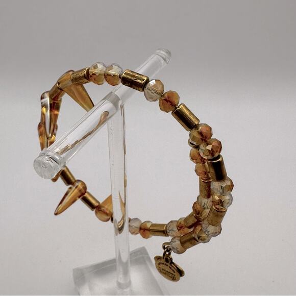 Alex & Ani Golden Aura Depths of the Wild Bangle Bracelet Coastal Cowgirl Casual - Picture 5 of 11